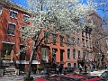 Brooklyn Heights Spring 2011 - 17-04-2011 12-30-53