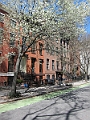 Brooklyn Heights Spring 2011 - 17-04-2011 12-31-11