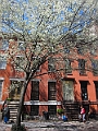 Brooklyn Heights Spring 2011 - 17-04-2011 12-31-42