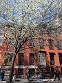 Brooklyn Heights Spring 2011 - 17-04-2011 12-31-46