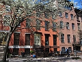 Brooklyn Heights Spring 2011 - 17-04-2011 12-32-01