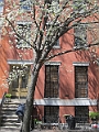 Brooklyn Heights Spring 2011 - 17-04-2011 12-32-11