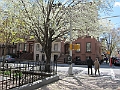 Brooklyn Heights Spring 2011 - 17-04-2011 12-33-56
