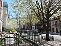 Brooklyn Heights Spring 2011 - 17-04-2011 12-34-10