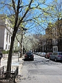 Brooklyn Heights Spring 2011 - 17-04-2011 12-34-51