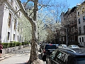 Brooklyn Heights Spring 2011 - 17-04-2011 12-35-17