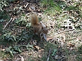 2007_08080004