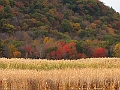 IMG_0479