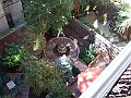 2007_10120010