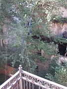 2007_10120006