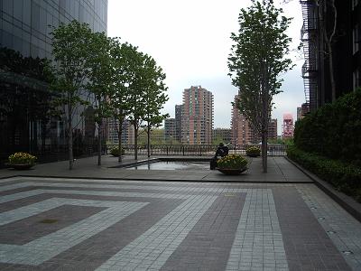 court yard.jpg