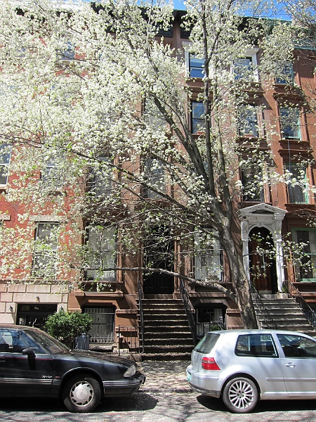Brooklyn Heights Spring 2011 - 17-04-2011 12-46-28.jpg