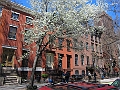 Brooklyn Heights - Spring 2011