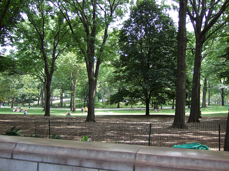 2006_07300015.jpg