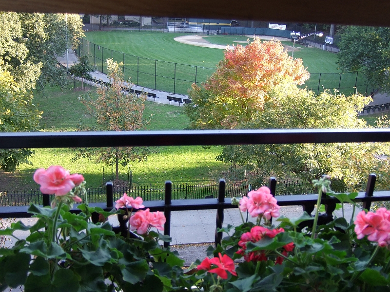 2007_11020029.jpg