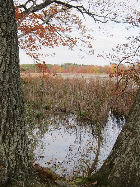 IMG_0463.JPG