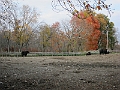 IMG_0485