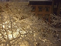 2010_02100001