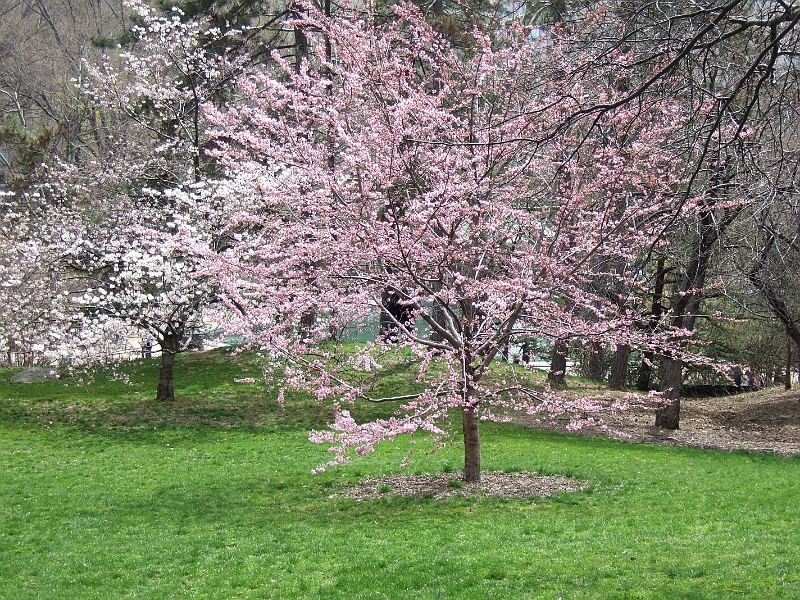 2007_4 (101).jpg
