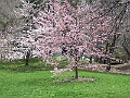2007_4 (101)