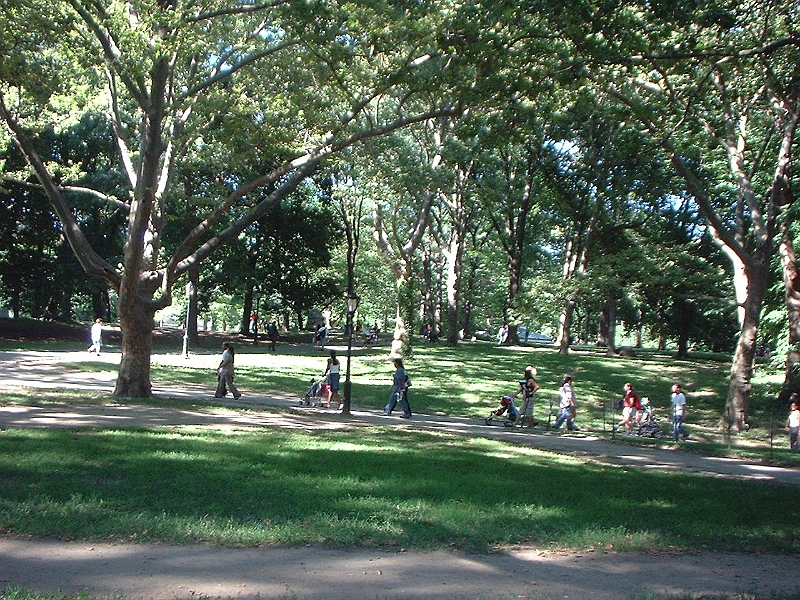DSCF0152.JPG