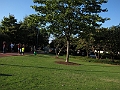 IMG_0038