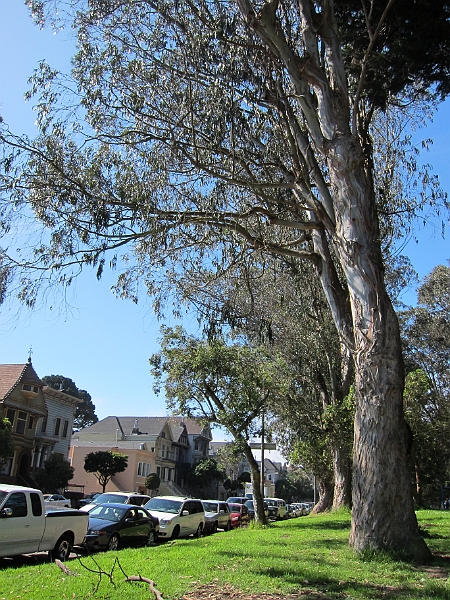 2011-10-08 15-42-37.jpg