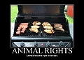 animalrights_700